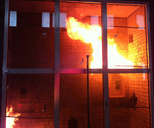 Противопожарные окна Электрогорск